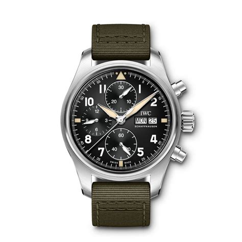 iwc armband.